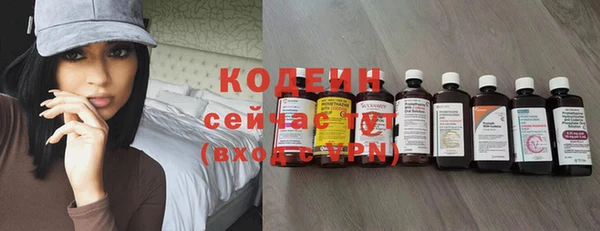 крисы Магас