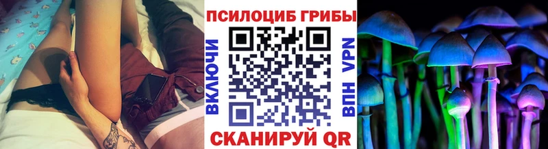 мега tor  даркнет сайт  Нальчик  Псилоцибиновые грибы Magic Shrooms 
